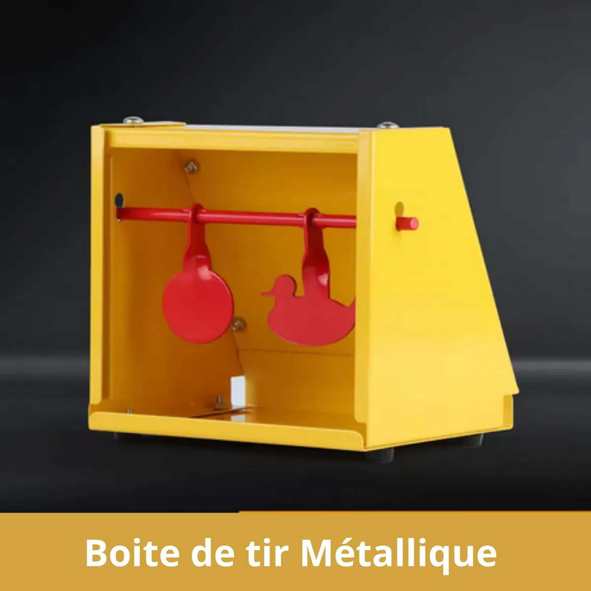 Cible DE TIR - Boîte - 2 en 1 : PLINKING + cartons 14X14- Support Cible - Plomb, Carabine, Pistolet 2O cartons offerts- idée Cadeau