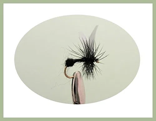 Lot de 50 mouches pour pêche à la truite, mouches sèches, buzzers, nymphes, émergers, etc