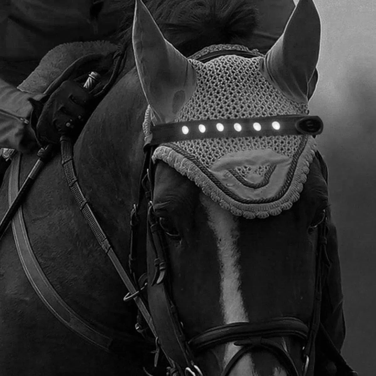 Cerceaux de tête de Cheval Collier de cuirasse de Cheval LED Bande de positionnement visuel Harnais de tête de Cheval pour l'équitation Nocturne Projet de compétition équestre