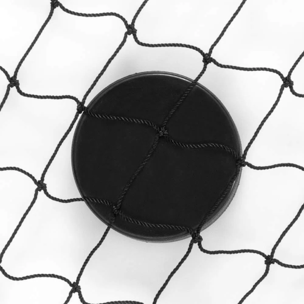 Better Hockey Extreme Hockey Backstop Net - Taille 5 x 2,5 mètres - Filet de Hockey pour Votre sous-Sol, Votre Cour et Votre Garage