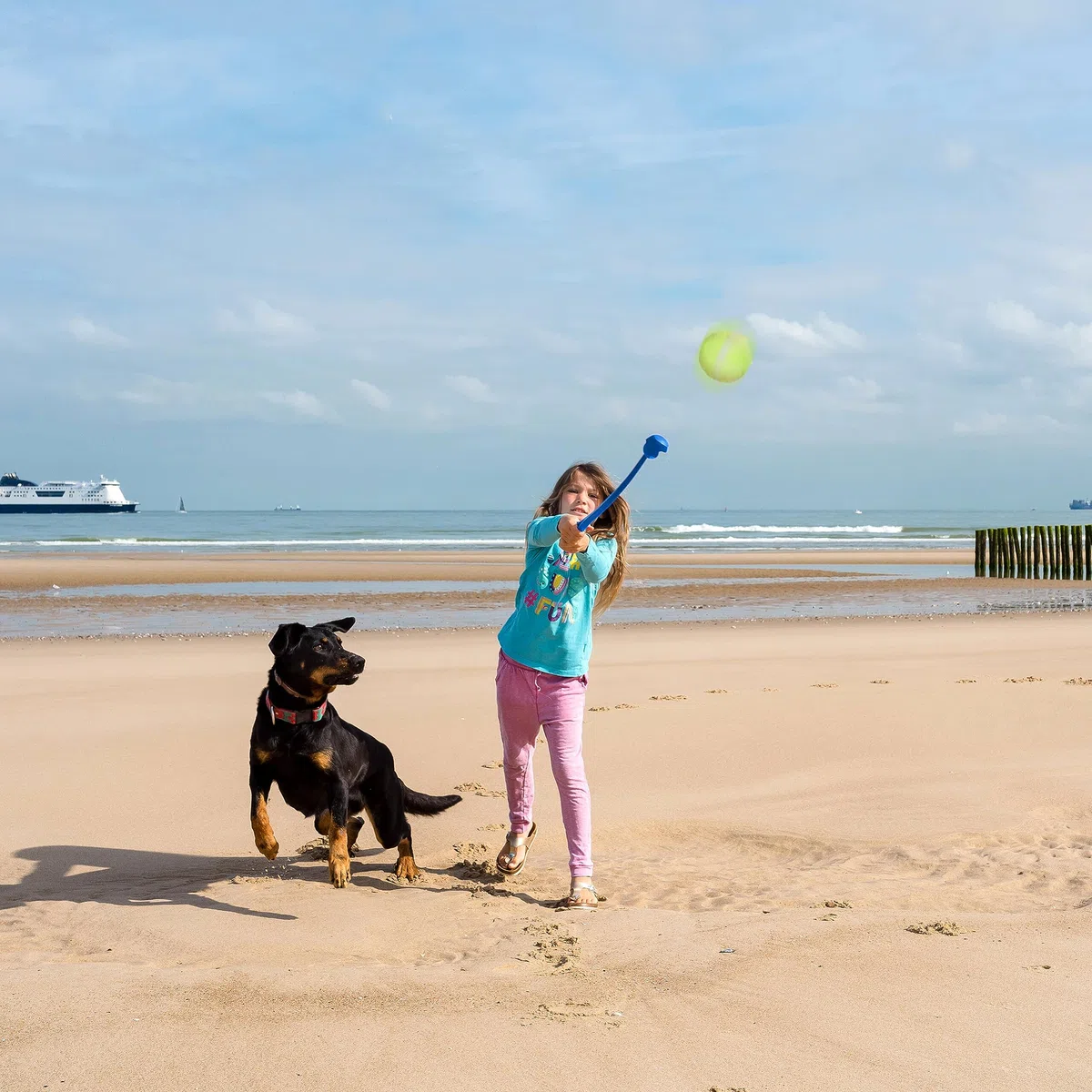 Relaxdays Lanceur en Lot de 4, 8 balles à Lancer pour Votre Chien, Jouet Amusant et Stimulant, Multicolore