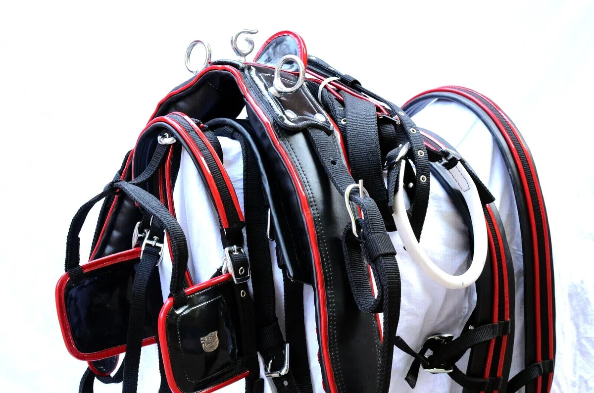 Harnais de conduite en nylon pour chariot simple cheval Full Cob Pony Shetland ST-NHS-005 (Complet)