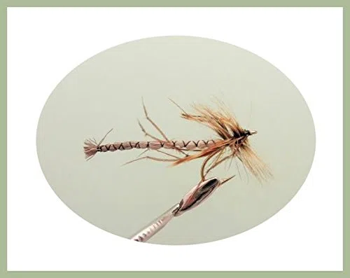 Lot de 50 mouches pour pêche à la truite, mouches sèches, buzzers, nymphes, émergers, etc