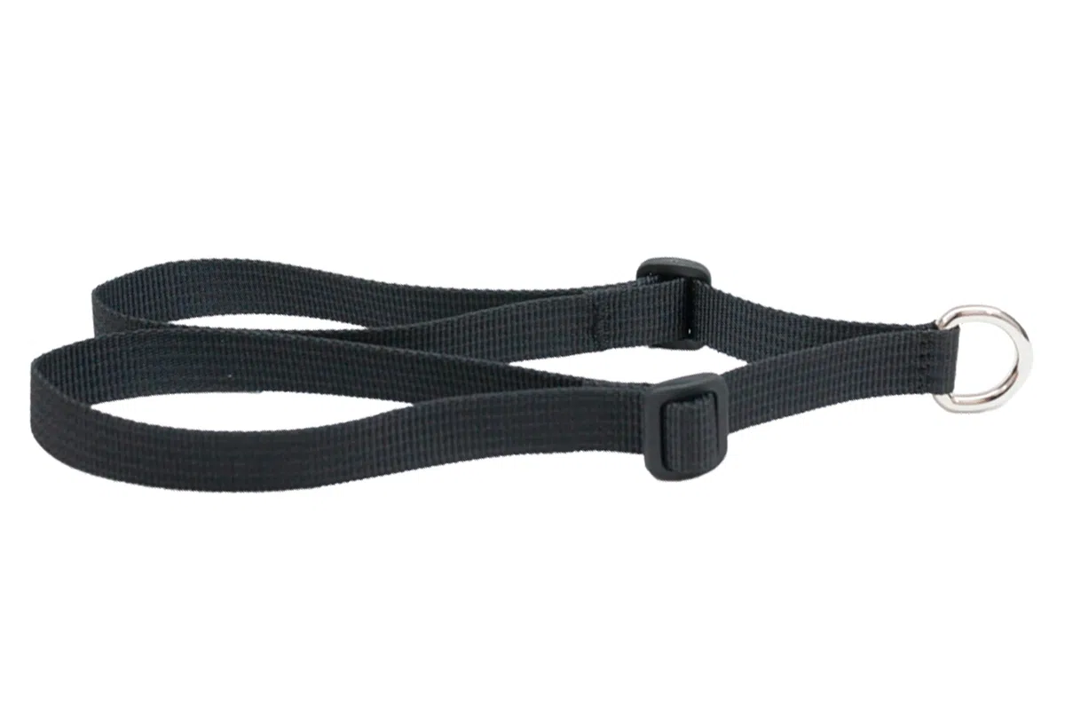 Helite Ceinture de selle équestre