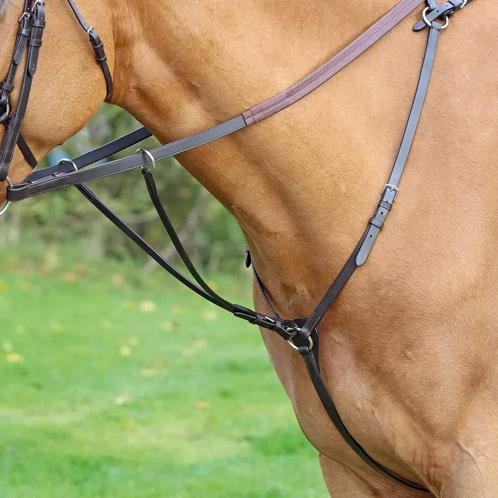 Shires Aviemore - Plastron lesté pour cheval équitation