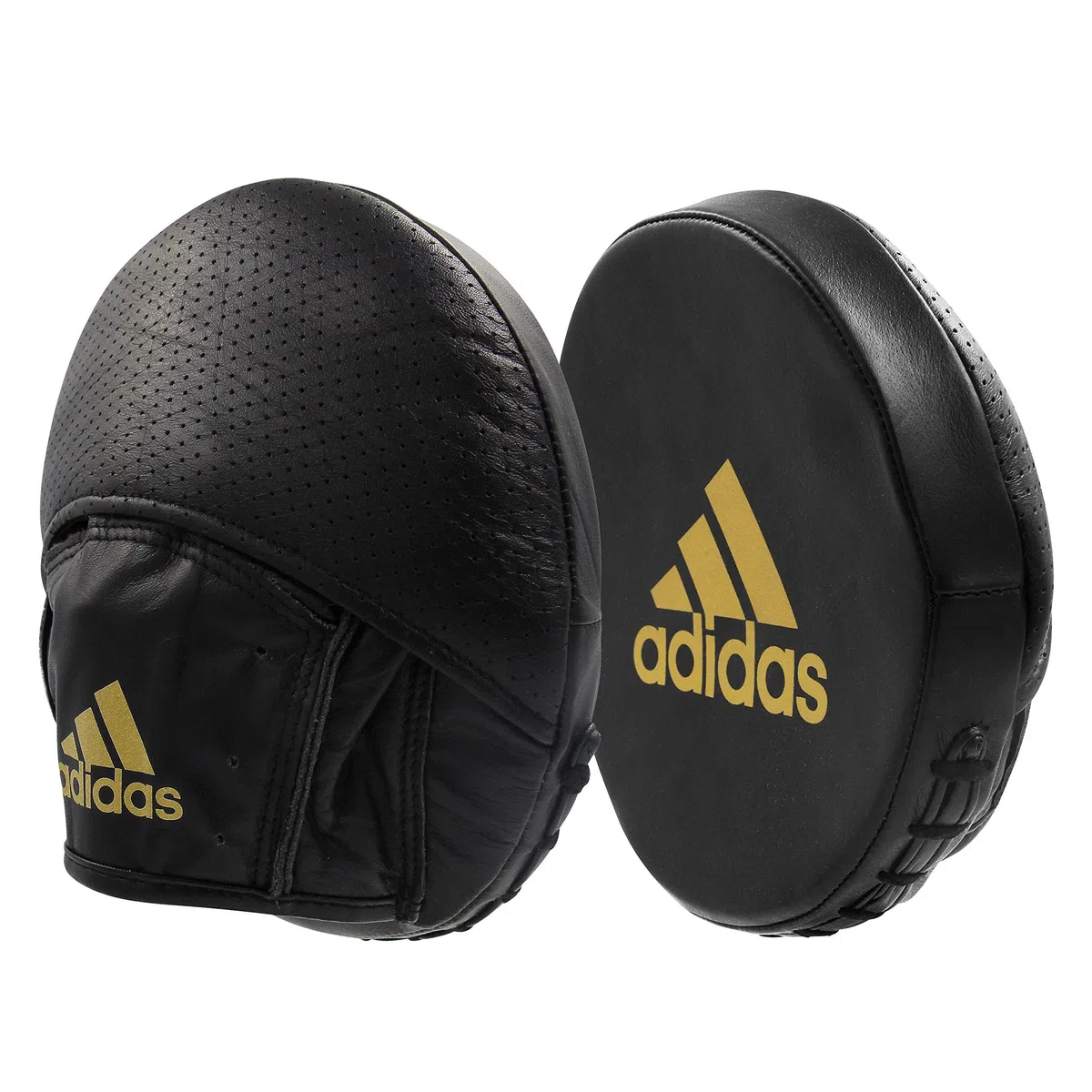 adidas Pattes d'ours Speed