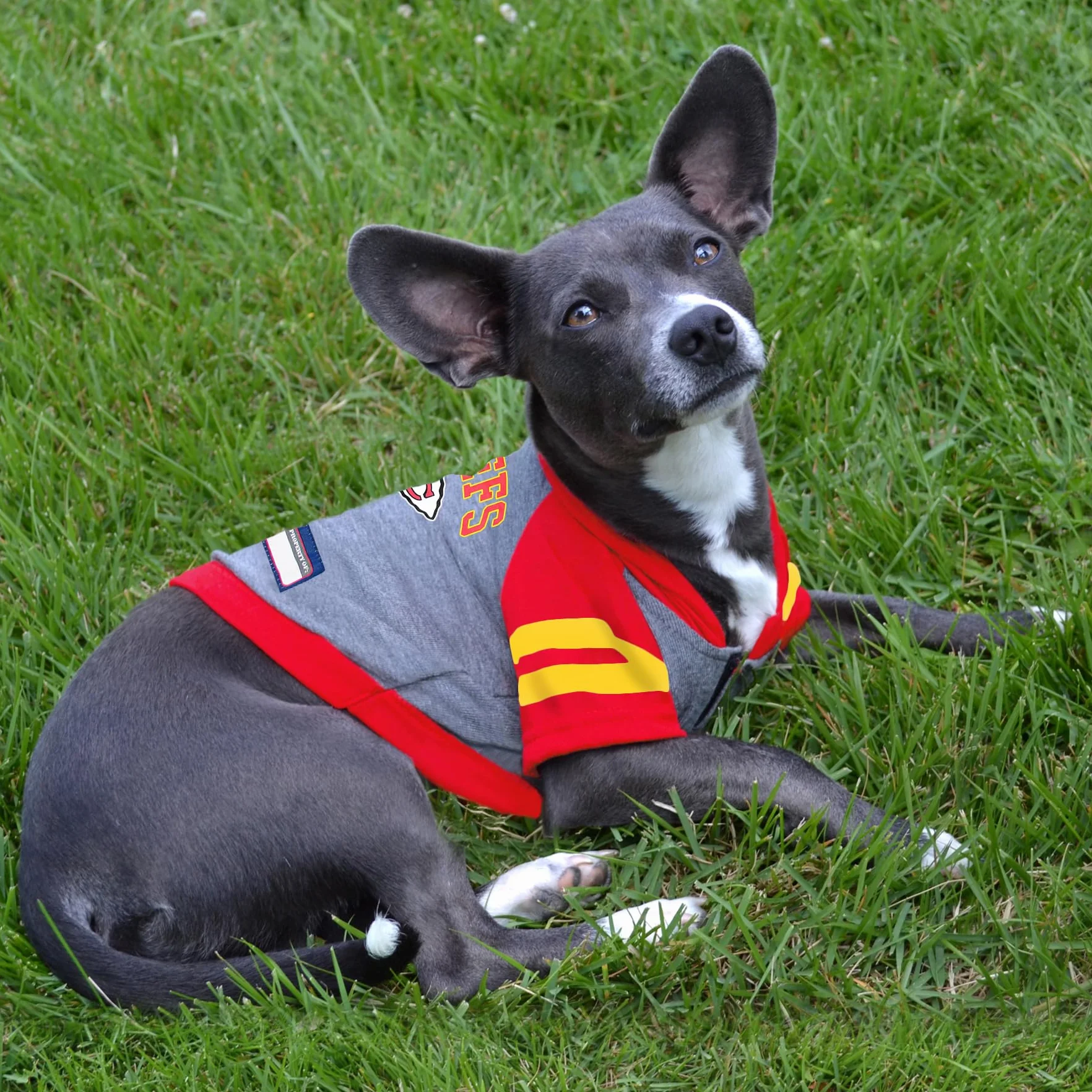 Pets première Kansas City Chiefs Sweat à Capuche T-Shirt