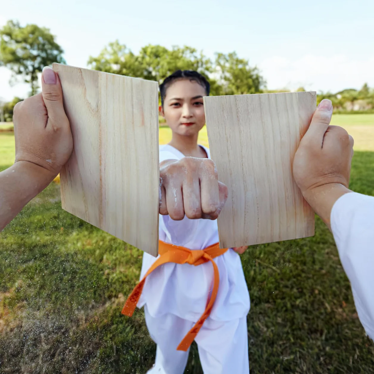 Homoyoyo Lot de 10 planches de freinage professionnelles pour taekwondo en bois - Pour karaté, arts martiaux - Pour enfants et adultes - Équipement de boxe - 0,3 cm