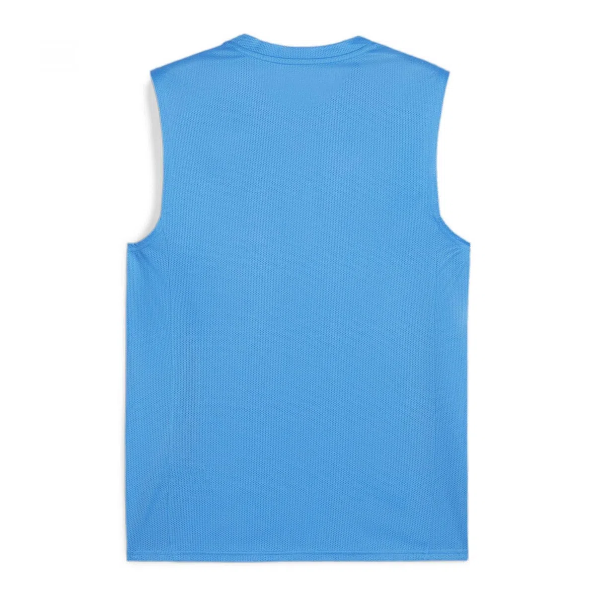 Puma Teamgoal Sleeveless Jersey Maillot de Foot Mixte (Lot de 1)
