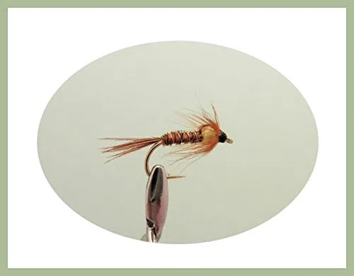 Lot de 40 mouches nymphes à la truite, 8 variantes, tailles mixtes pour pêche à la mouche NBX30