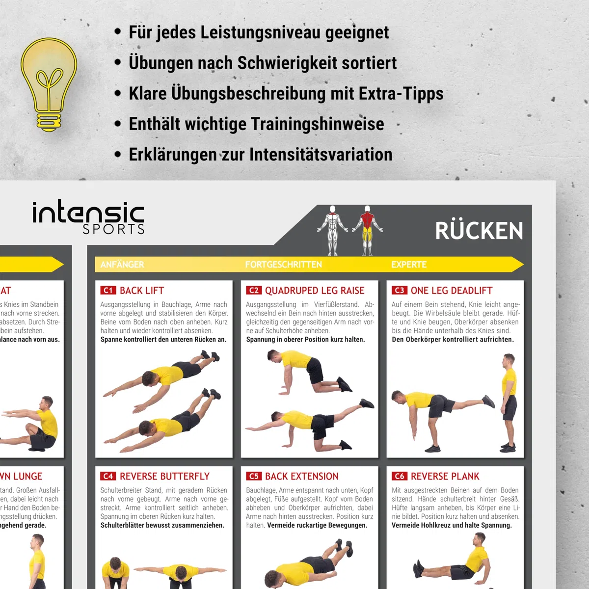 Poster d'entraînement bodyweight, 60 exercices de fitness pour la force à la maison, le développement musculaire, poster de motivation fonctionnel