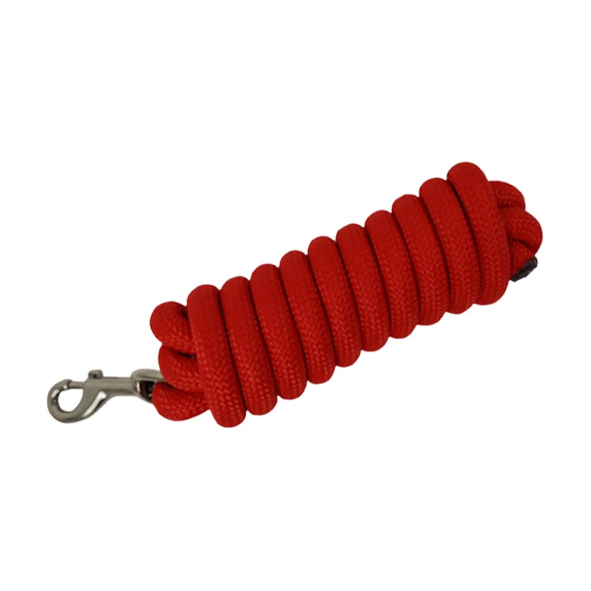 Longe en Nylon Robuste, Licol, Boucle à Une Main, Convient pour L'entraînement et Les Compétitions équestres.