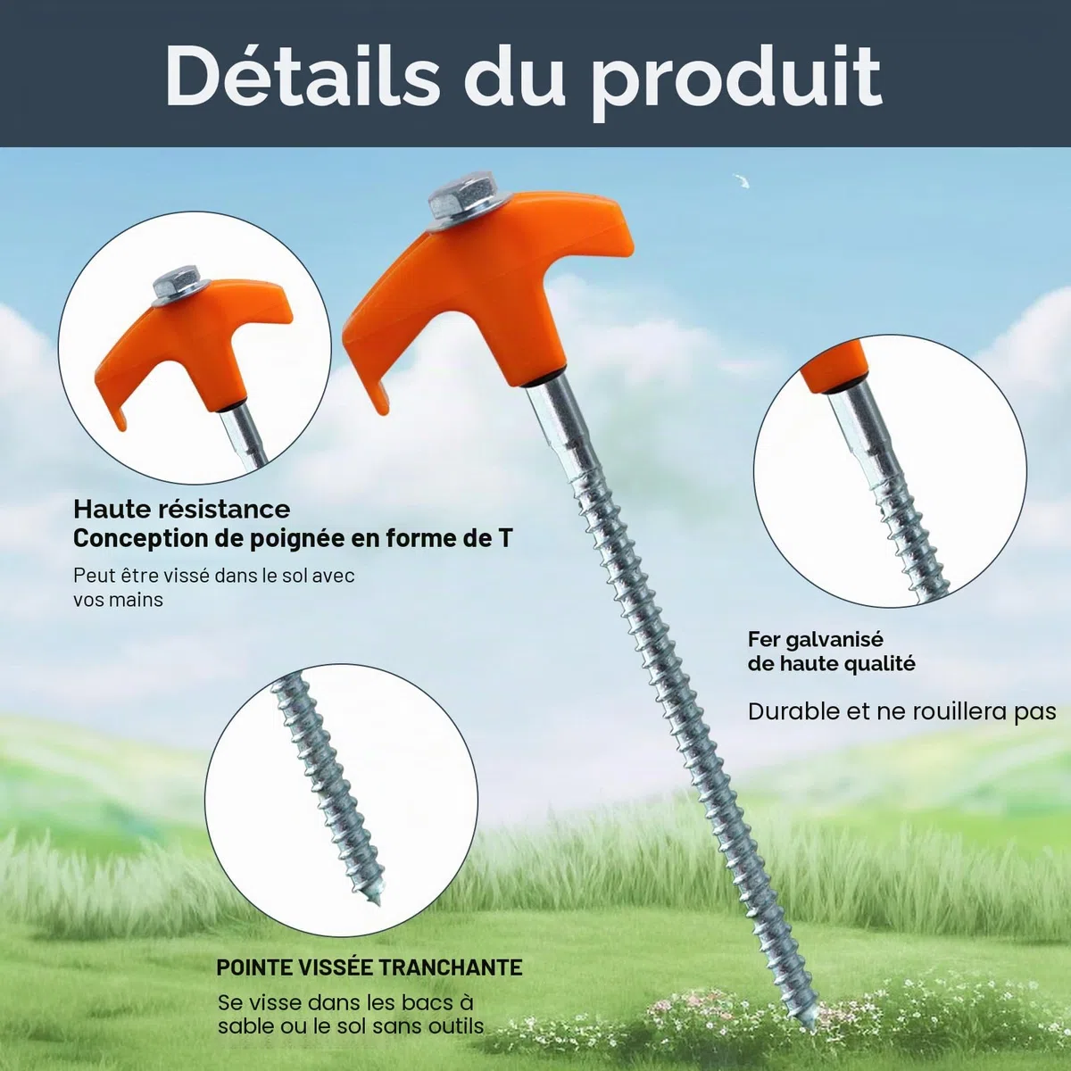Lot de 20 sardines à visser en acier pour tente de camping - Piquets solides - Avec extracteur de clous et sac pour sol dur, forêt, prairie, rochers