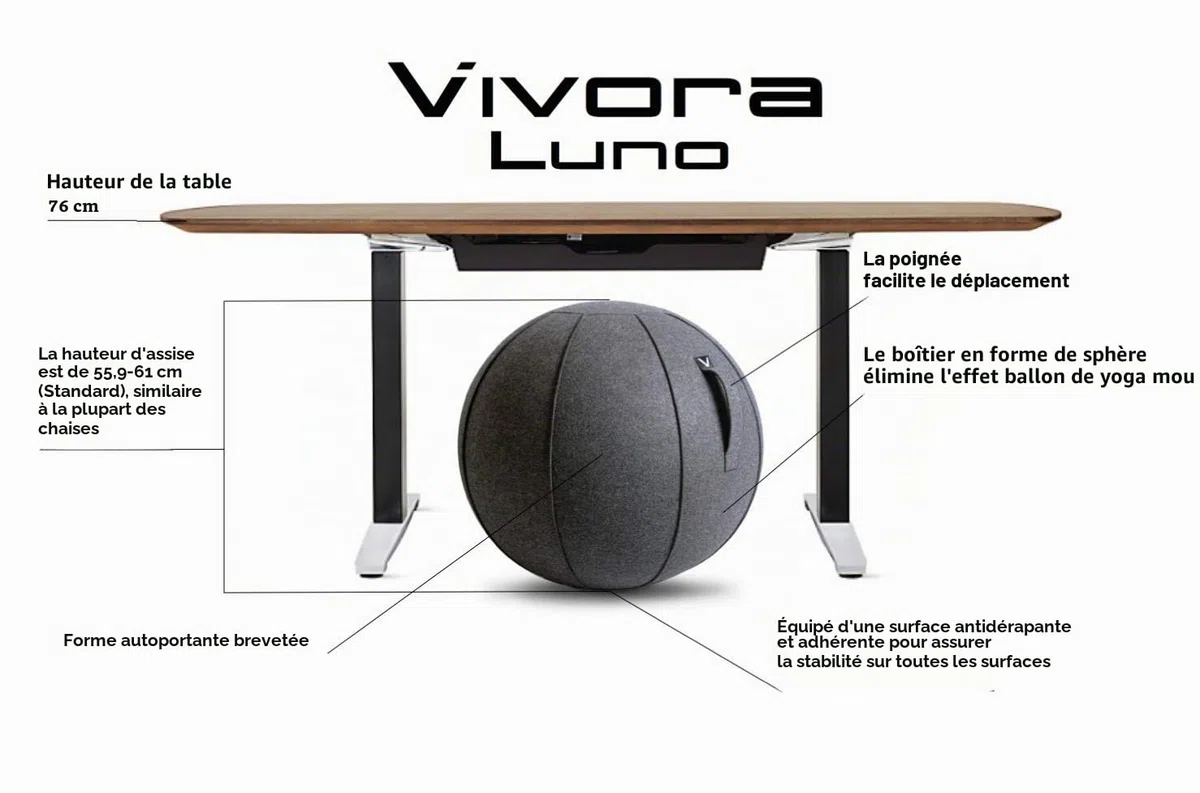 Vivora Luno Fauteuil d'exercice en Feutre Taille Standard (55,9 à 61 cm) pour Bureau à Domicile, entraînement d'équilibre, Ballon de Yoga