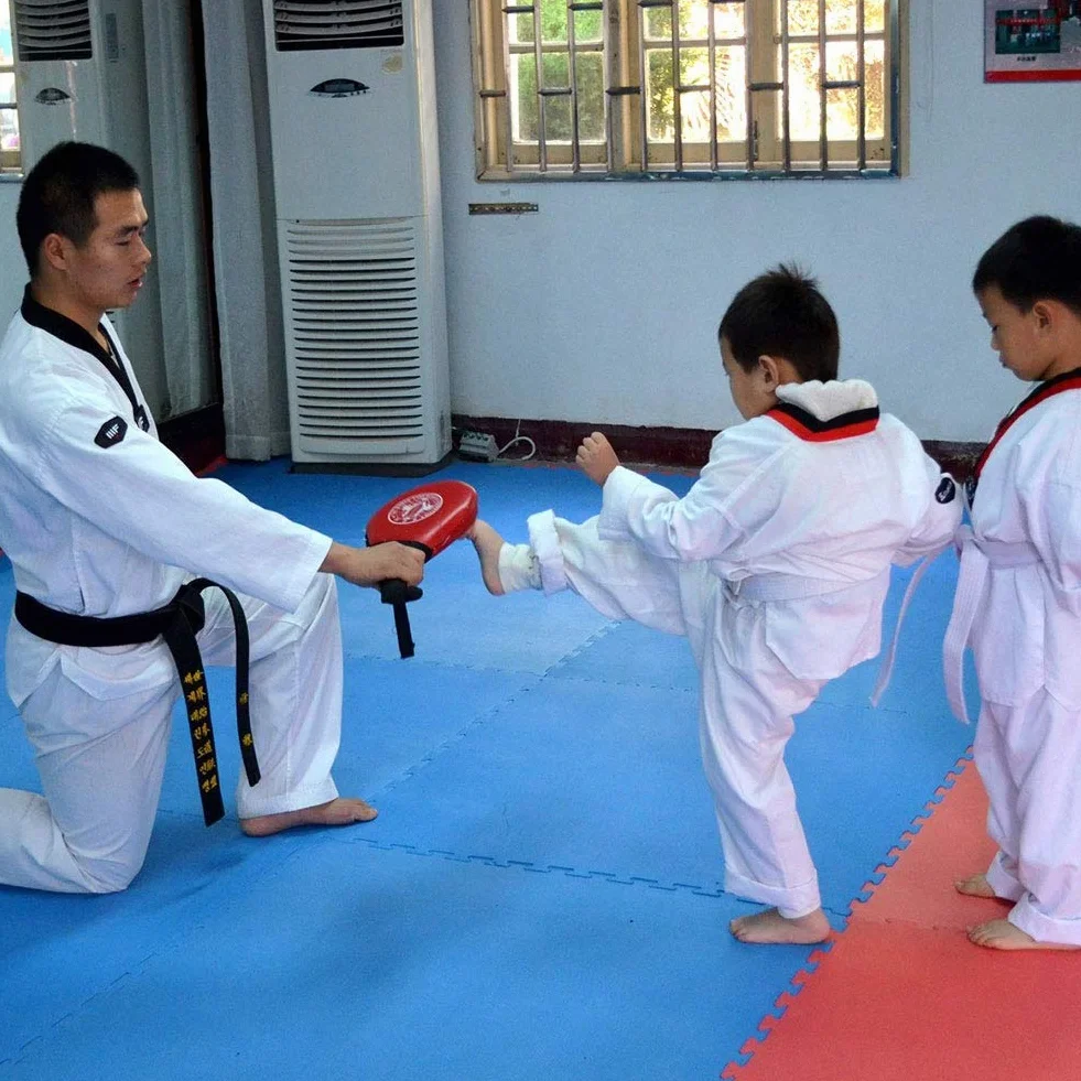 Double Kicking Target Pad Pads de Frappe en Taekwondo Entraînement TKD Entraînement de Karaté Kick Boxing Judo MMA Muay Thai Arts Martiaux Sports