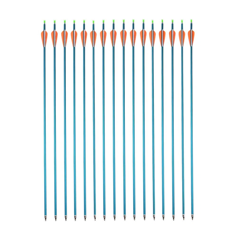 30 "flèches en Aluminium de tir à l'arc Spine 500 flèches de Chasse avec Pointes de flèche Amovibles pour Arc Classique et Arc à poulies 6 et 12 pcs