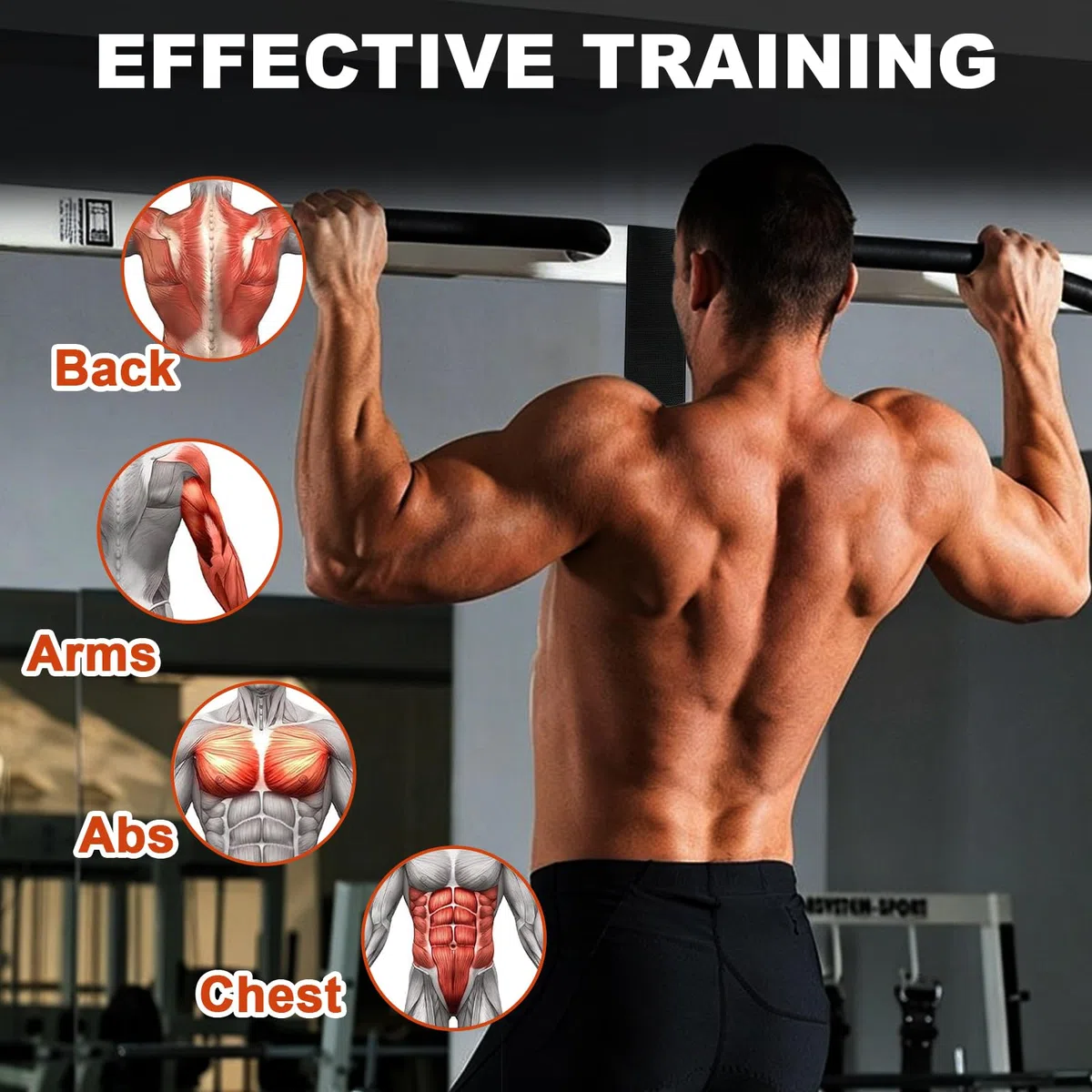 Bande de Traction avec 4 Bandes Elastique de Résistance 75-300Lbs, Réglables Hauteur, Elastique Musculation pour Tractions pour Les Débutants, La Musculation
