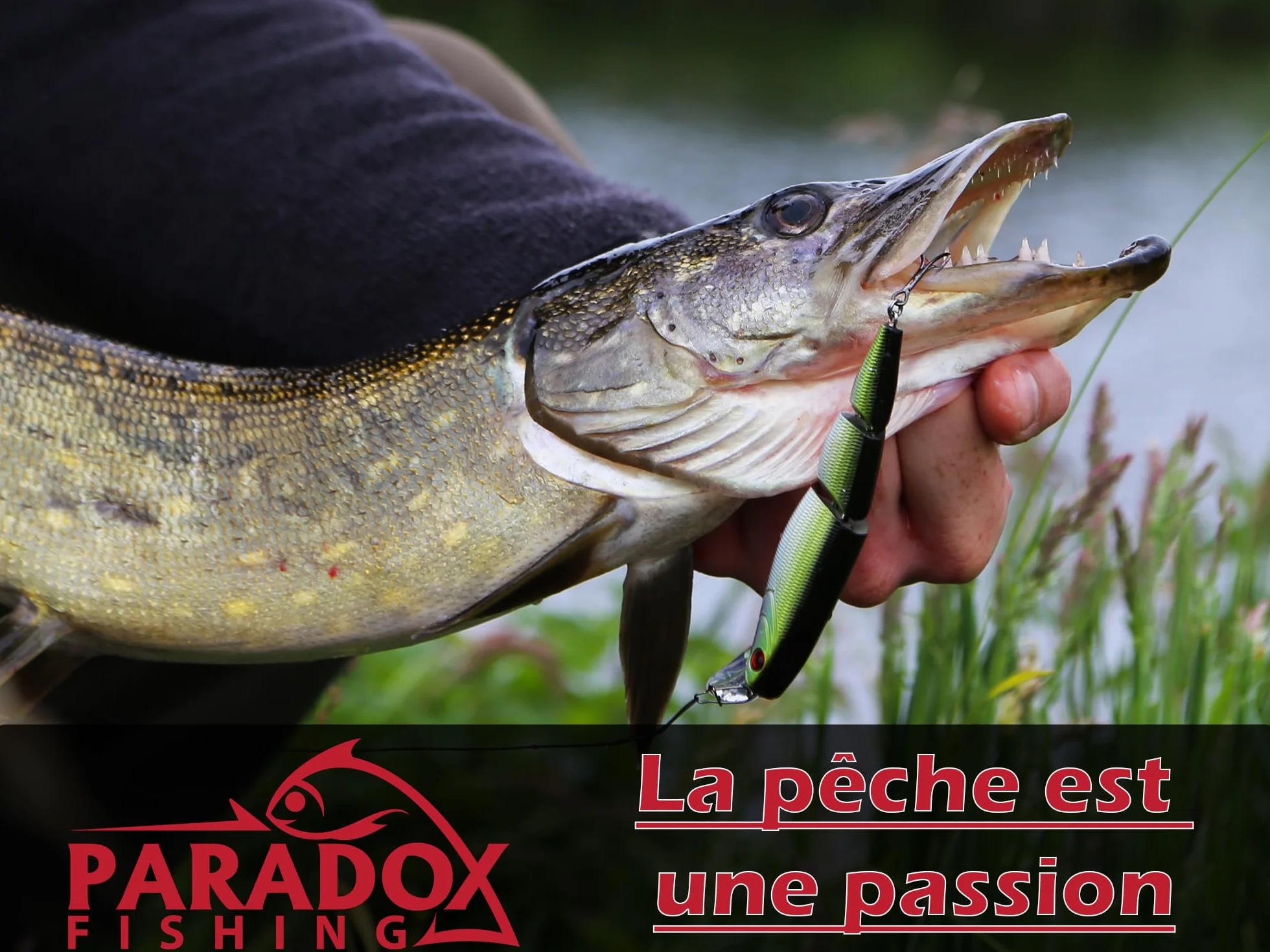 Paradox Fishing Chatterbait Brochet 5pcs 18g - Spinnerbait Hecht Jig Spinner Brochet - Leurre de Brochet