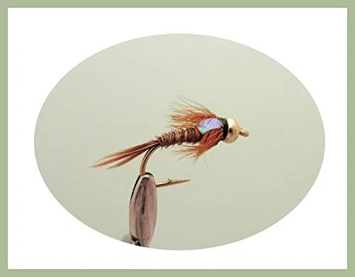 Lot de 30 mouches à truite Nymphes à tête dorée nommées Mélange de tailles 10/12 Pour pêche à la mouche