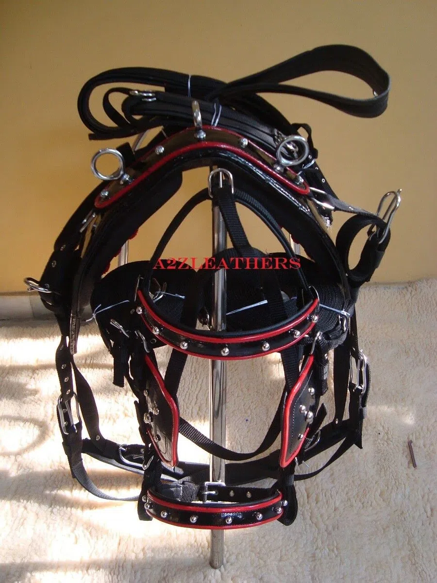 Nylon Driving Harness for Single Horse In Red/White With SHOWMEN CRAFT0MM Artificial Diamond (zircon cubique) Brow band Bridle in 4 tailles (Full to Shetland)