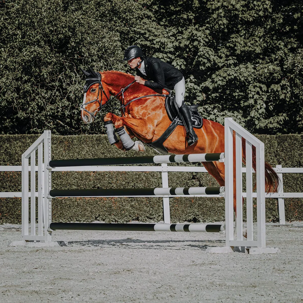 SUNRIDE Coussinets de Bandage avec Velcro pour Les Chevaux afin de Les protéger Contre Les blessures Lors de l'entraînement (Lot de 2) (Noir)