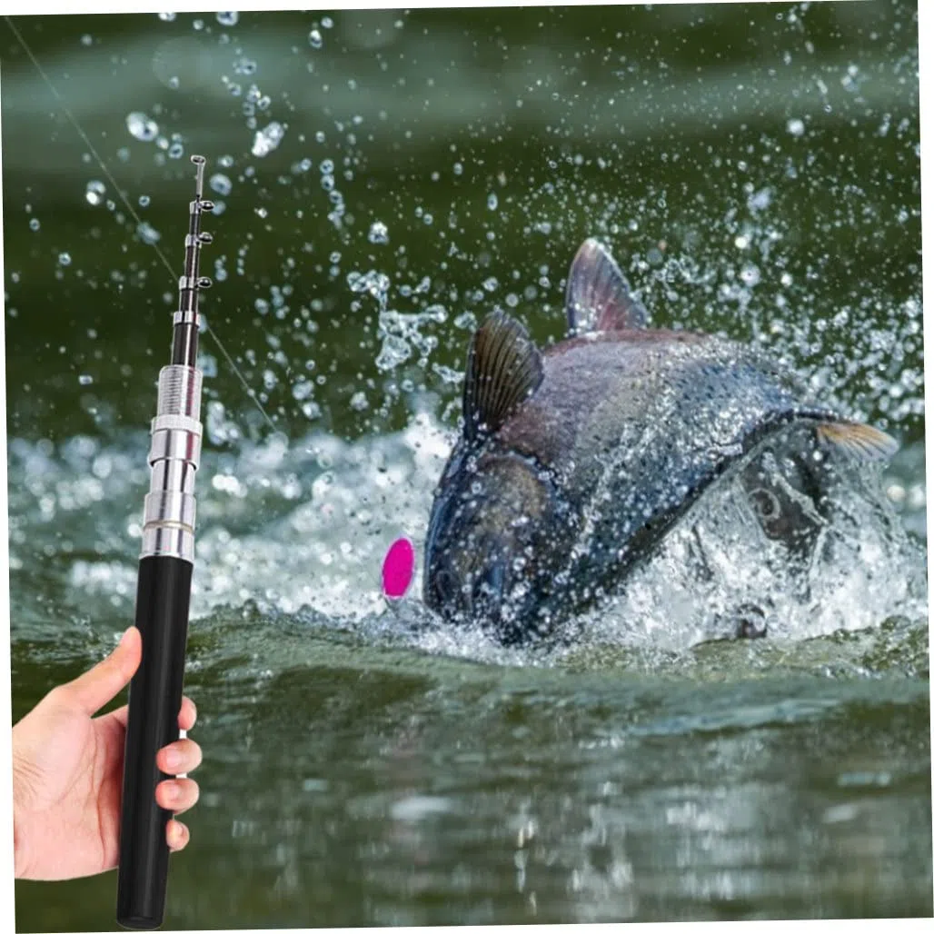 Canne à pêche d'apparence Mini Stylo, Roue rotative Portable pour la pêche en Plein air en Hiver