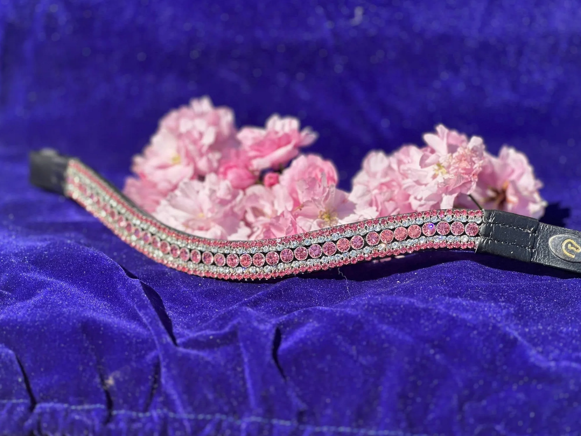 Frontal à 5 rangées de strass en forme de courbe Rose (Cob, cuir noir)