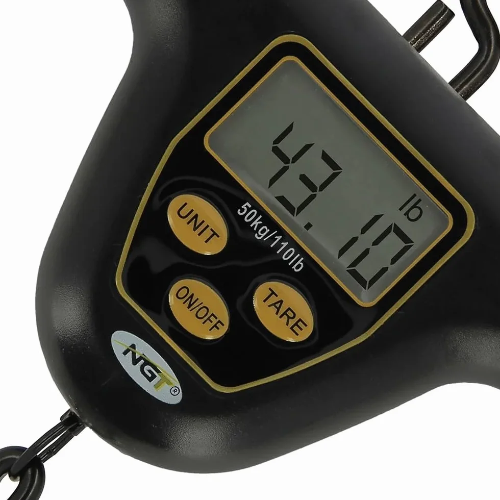 NGT Balance Digitale XPR Dynamic Digital Scales - Peson