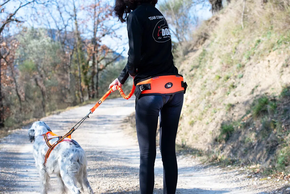 Baudrier One Light, idéal pour Les gabarits légers/Enfants Couleur Orange Taille Unique, canicross, canirando, canijogging, canitrail, Utilisation Intense Sportive ou Loisirs, I-dog Marque Française.
