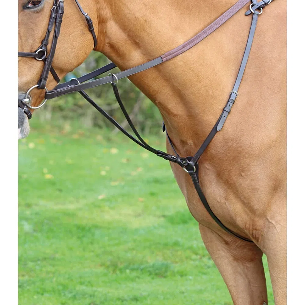 Shires Aviemore - Plastron lesté pour cheval équitation