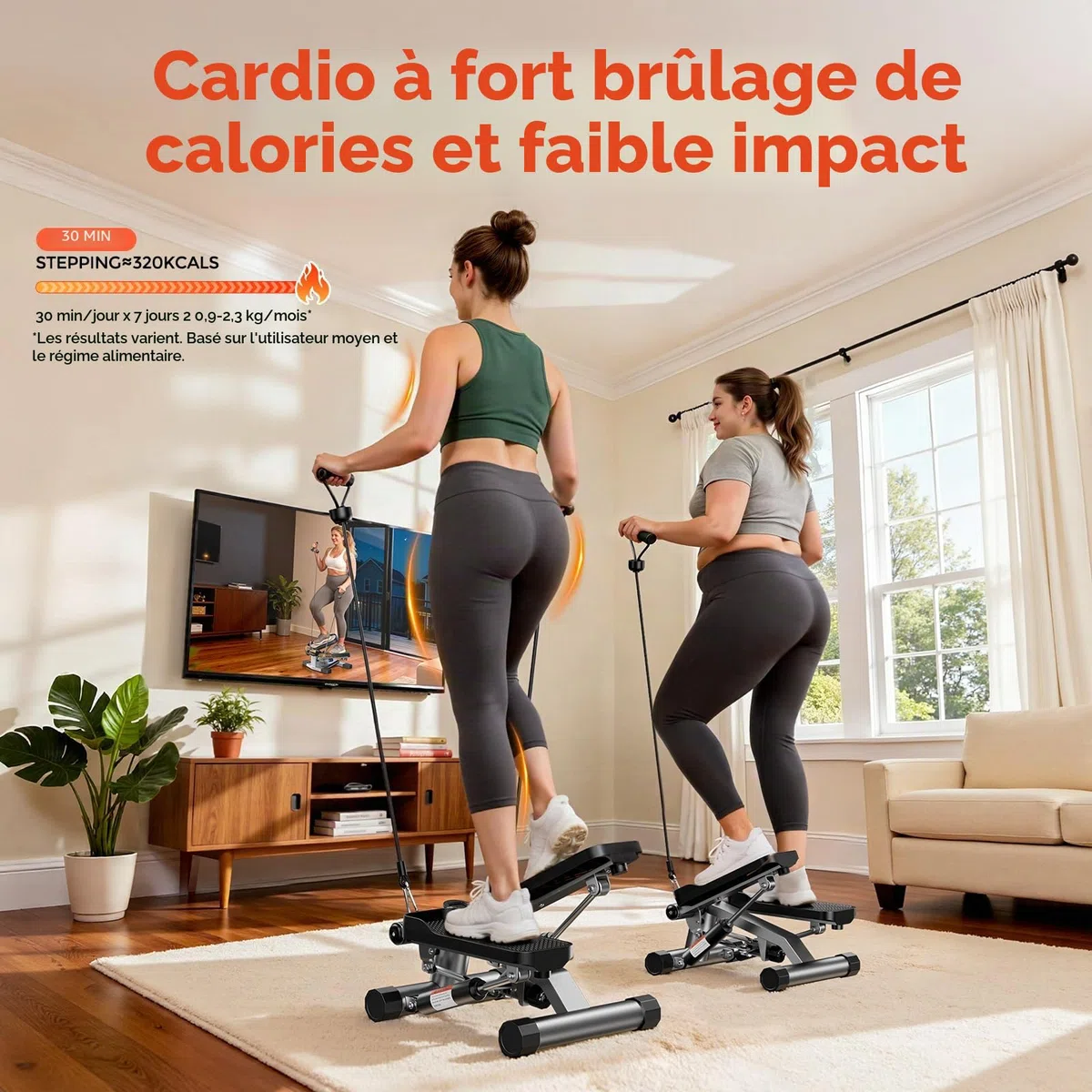 Sportsroyals Stepper d'escalier pour Exercices - Torsadé avec Bandes de résistance et capacité de Poids de 150 kg