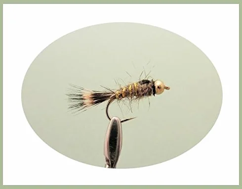 Lot de 30 mouches à truite Nymphes à tête dorée nommées Mélange de tailles 10/12 Pour pêche à la mouche