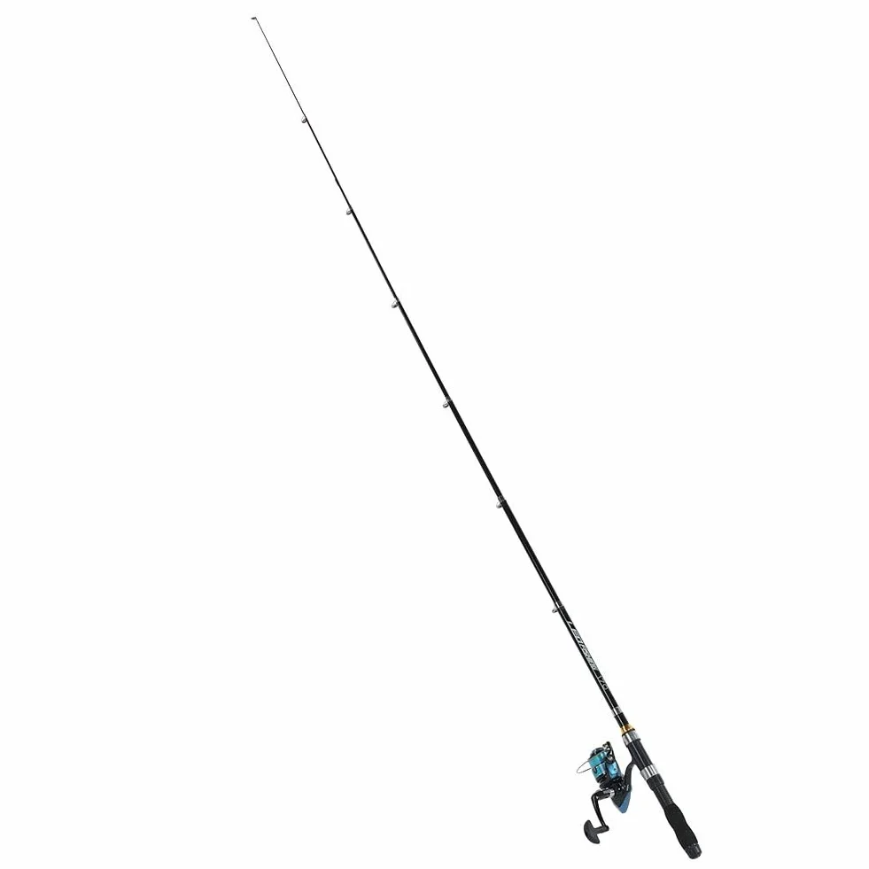 Alomejor Mini Canne à pêche de Poche Canne à pêche Stylo pour la pêche en mer Pêche en Eau Douce en Eau de mer extérieure(1.7m)