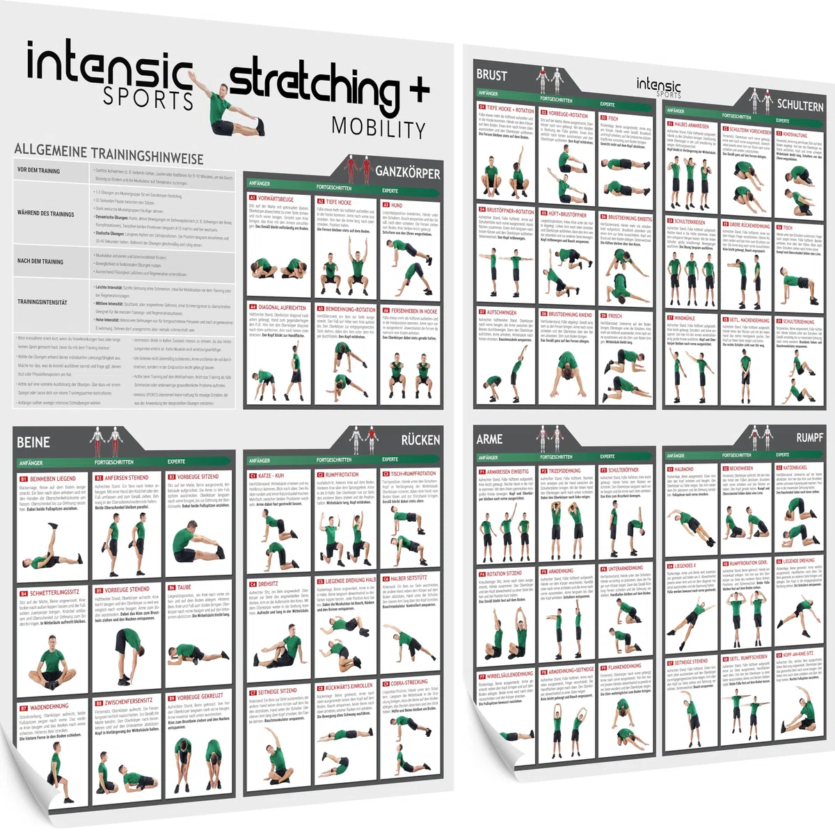 Poster Stretching + Mobility | 60 exercices de fitness pour étirer et mobiliser, plus de mobilité sans appareil, pour la salle de sport à la maison, musculation