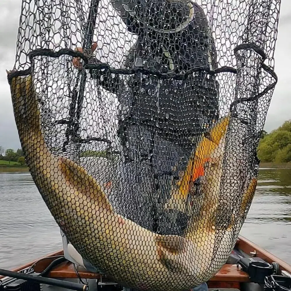 épuisette télescopique, pliable, filet flottant pêche, épuisette caoutchouté pour attraper et desserrer facilement le poisson, adaptée aux enfants