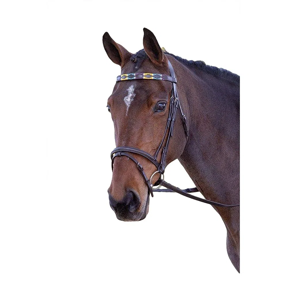 Blenheim Frontal en cuir pour cheval (X complet) (violet/vert foncé/jaune), Violet/vert foncé/jaune, Taille Unique