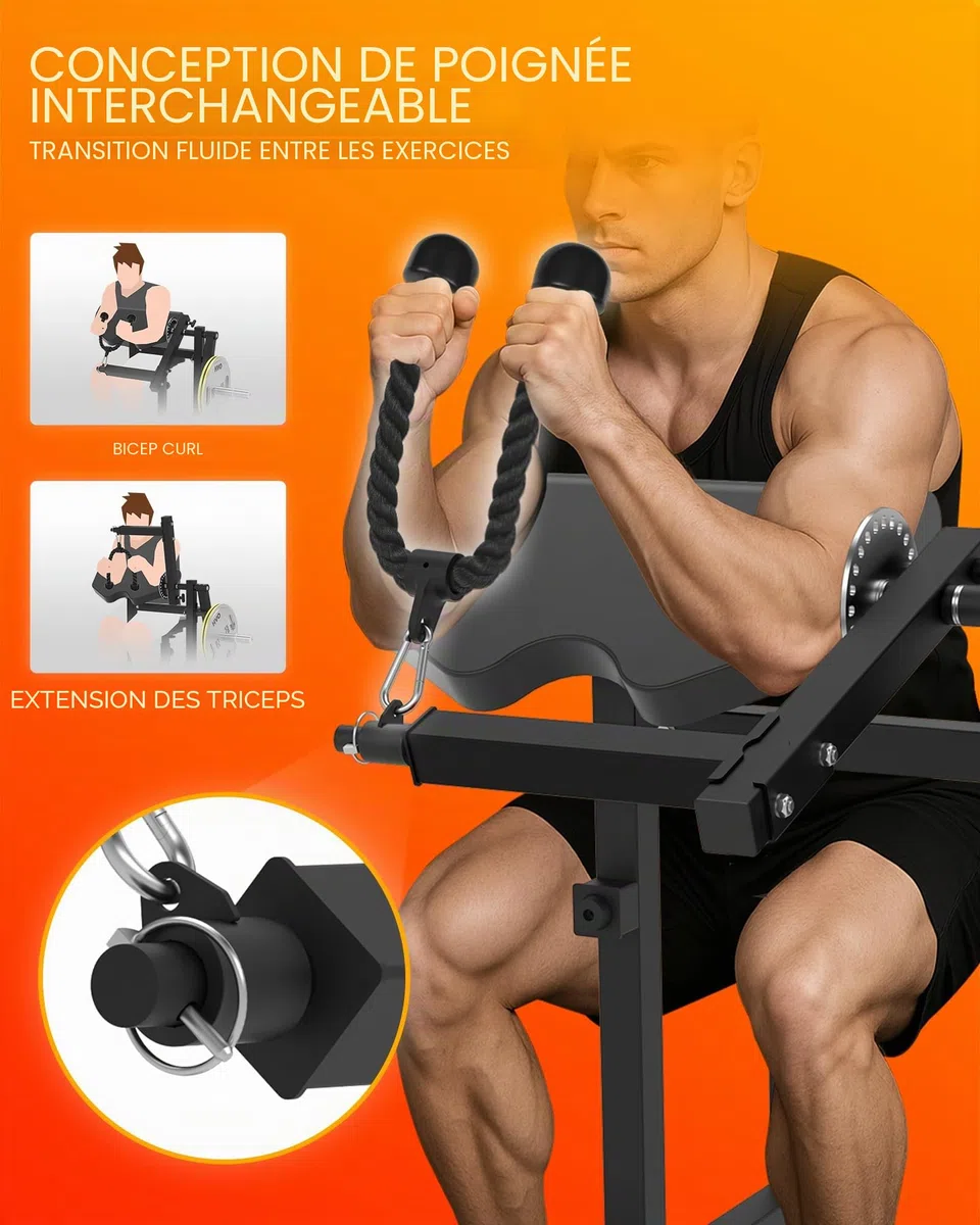HVO Banc à Biceps & Triceps : 2-en-1 Pupitre à Biceps Réglable pour Curl et Extension des Triceps Assise – Banc de Musculation pour Entraînement des Bras à Domicile – Noir