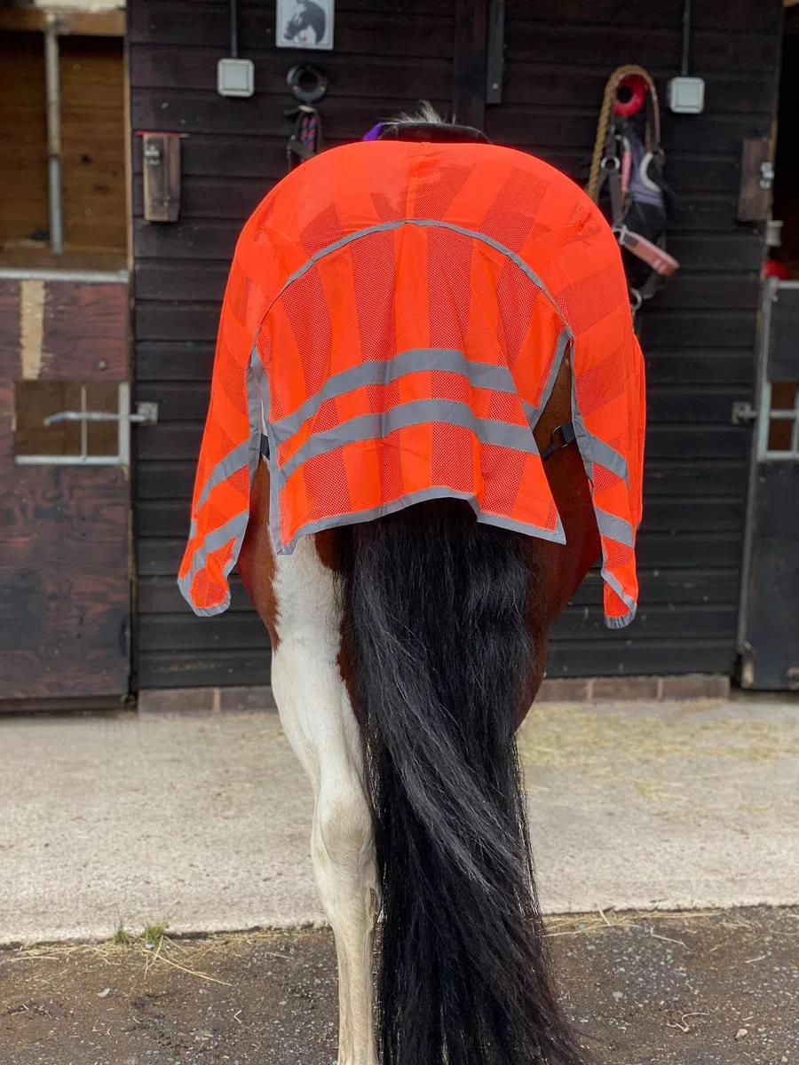 Reflex HIND Drap d'exercice haute visibilité pour poney Orange fluo