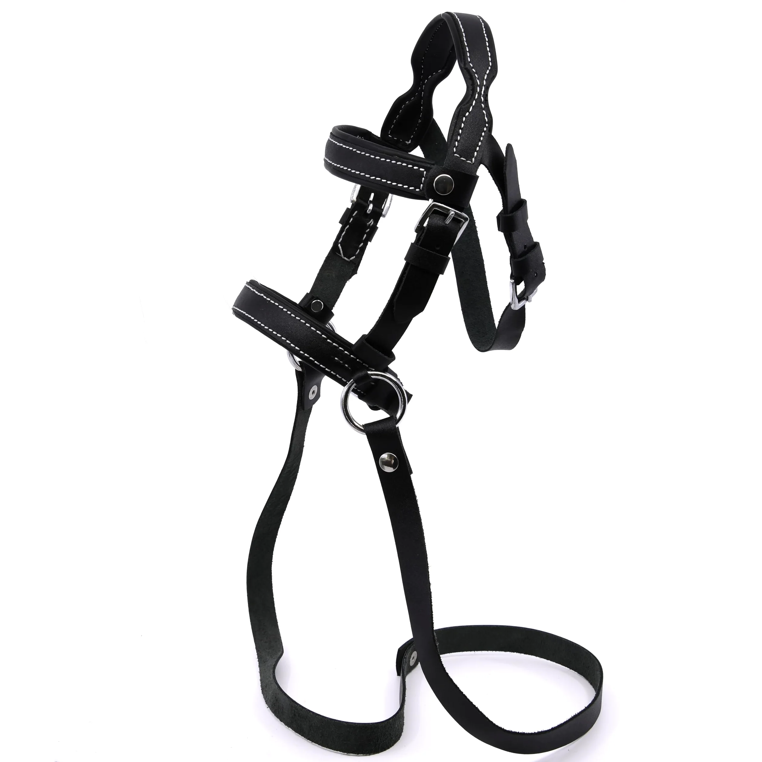 Hobby Horse Filet bridon éthologique Noir pour Hobby Horse Taille A3 et A4. Réglable par Boucle. Cuir synthétique surpiqué de Coutures Blanches