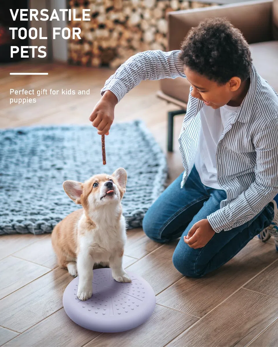 PhysKcal Coussin d'équilibre- Coussins de stabilité pour la kinésithérapie et Le Fitness, Assise Flexible, Coussin sensoriel favoriser la Concentration