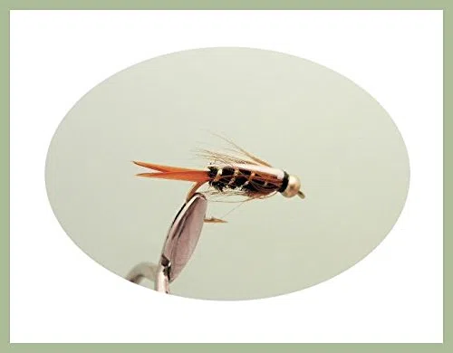 Lot de 30 mouches à truite Nymphes à tête dorée nommées Mélange de tailles 10/12 Pour pêche à la mouche