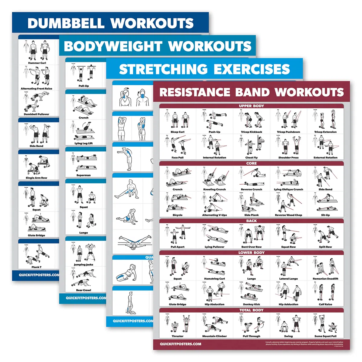 Palace Learning Lot de 4 tableaux d'entraînement avec haltères + exercices d'étirement + bandes de résistance (45,7 x 61 cm, laminé)