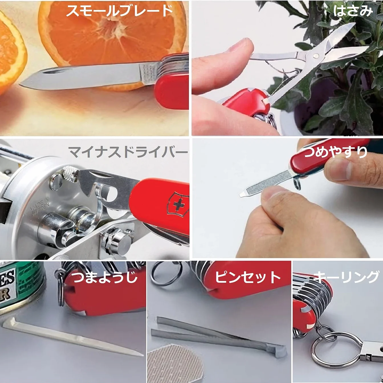 Victorinox, Classic SD, Couteau de Poche Suisse, Multifonction, Léger, 7 Fonctions, Petite lame, Lime à ongles, Tournevis 2,5 mm