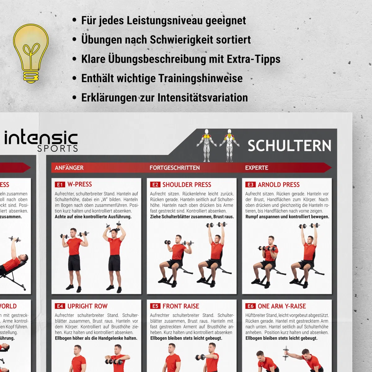 intensic SPORTS Poster d'entraînement avec haltère - 60 exercices de fitness pour l'entraînement aux haltères - Développement musculaire et sport - Motivation pour l'entraînement à la maison - Salle