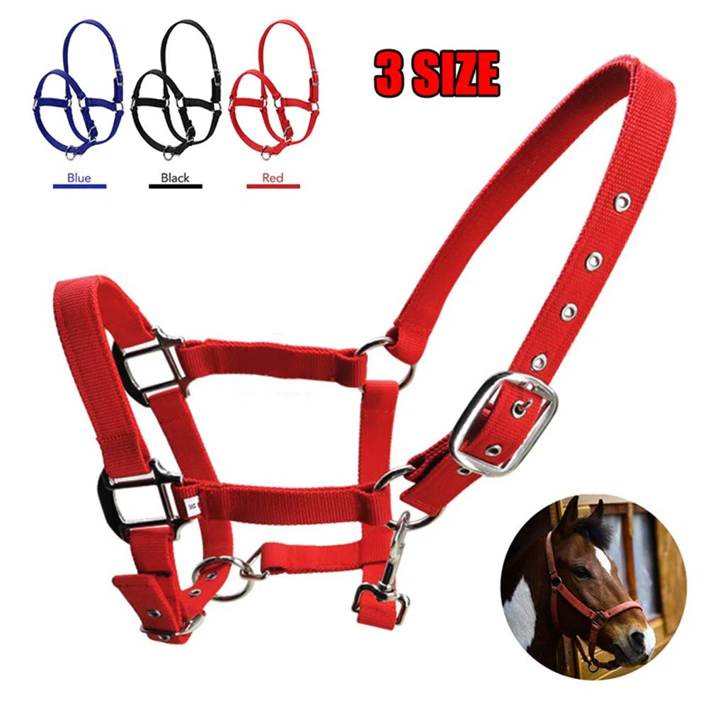 tooloflife Licol rembourré en nylon avec impression de cheval réglable bleu-moyen pour poulain, poney, âne
