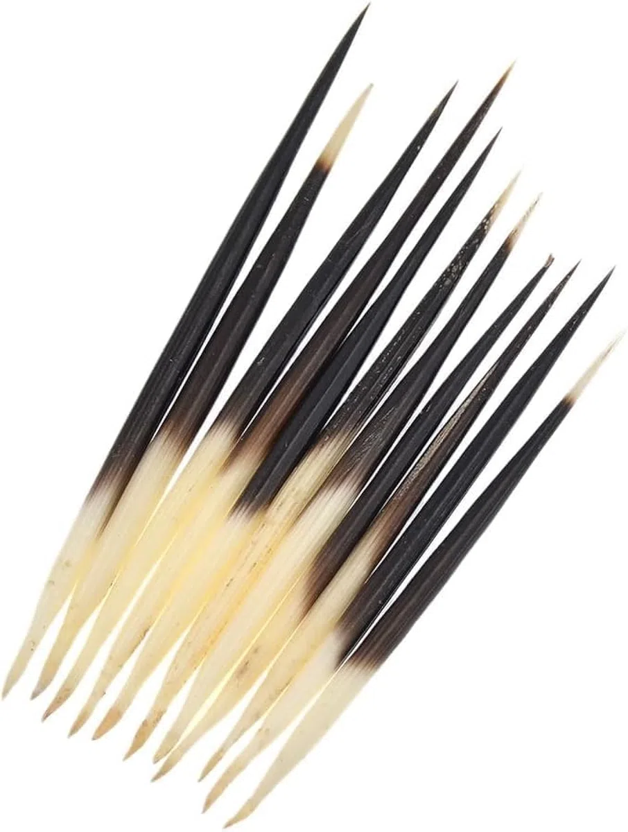 Fansoftiks Lot de 10 bâtons à cheveux en forme de porc-épic - Accessoires indiens - Bouée de pêche - Kits de couture