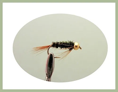 Lot de 30 mouches à truite Nymphes à tête dorée nommées Mélange de tailles 10/12 Pour pêche à la mouche