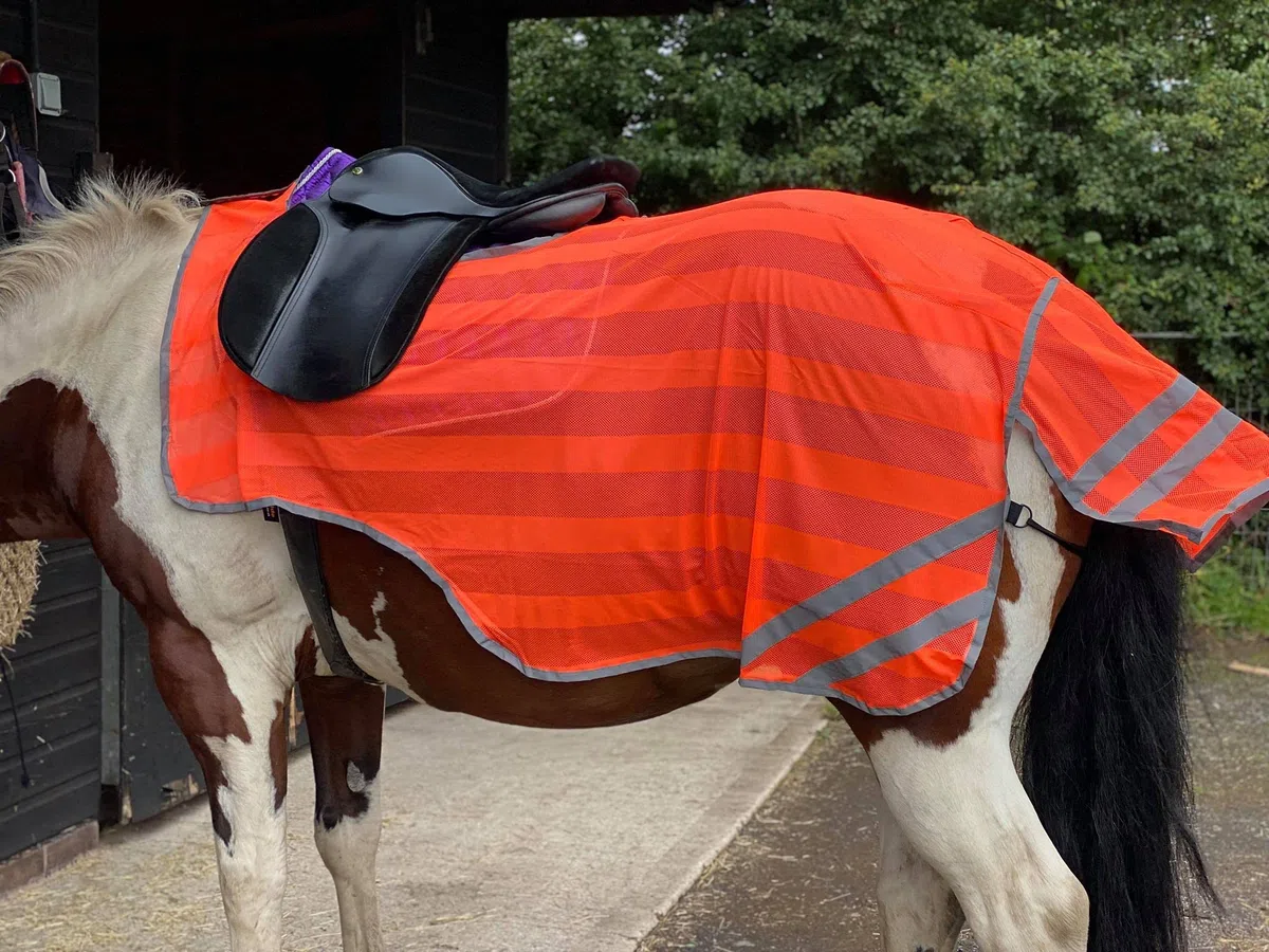 Reflex HIND Drap d'exercice haute visibilité pour poney Orange fluo