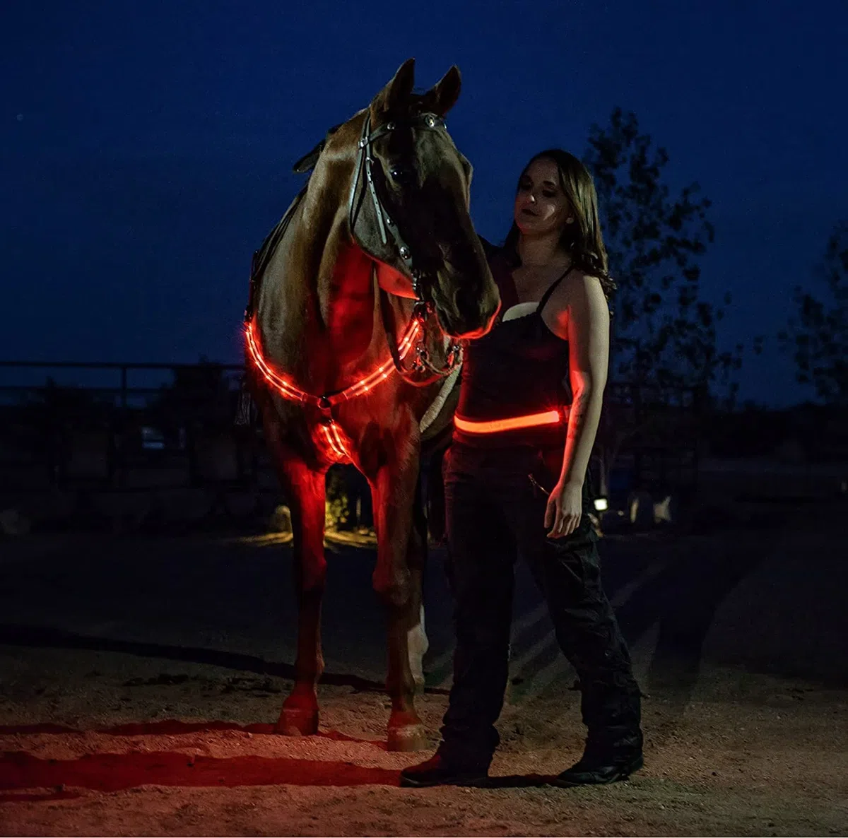 Collier de cuirasse de Cheval à LED, Haute visibilité pour l'équitation, équipement de sécurité réglable pour l'équitation de Nuit (Rouge)