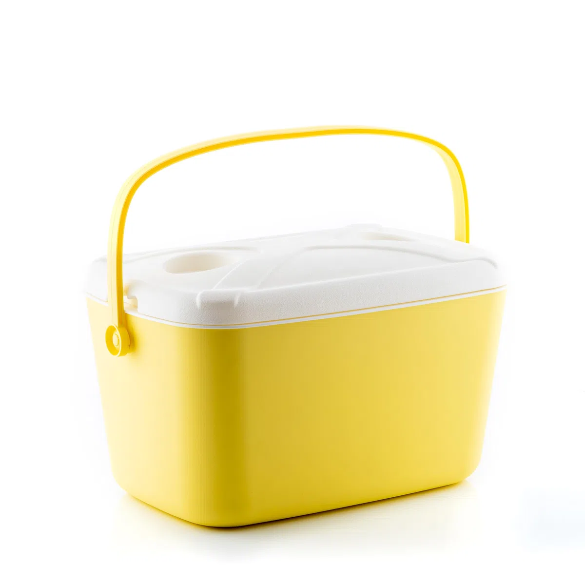 Glacière Rigide Portable Lilty InnovaGoods 15 L, Citronier, Turquoise